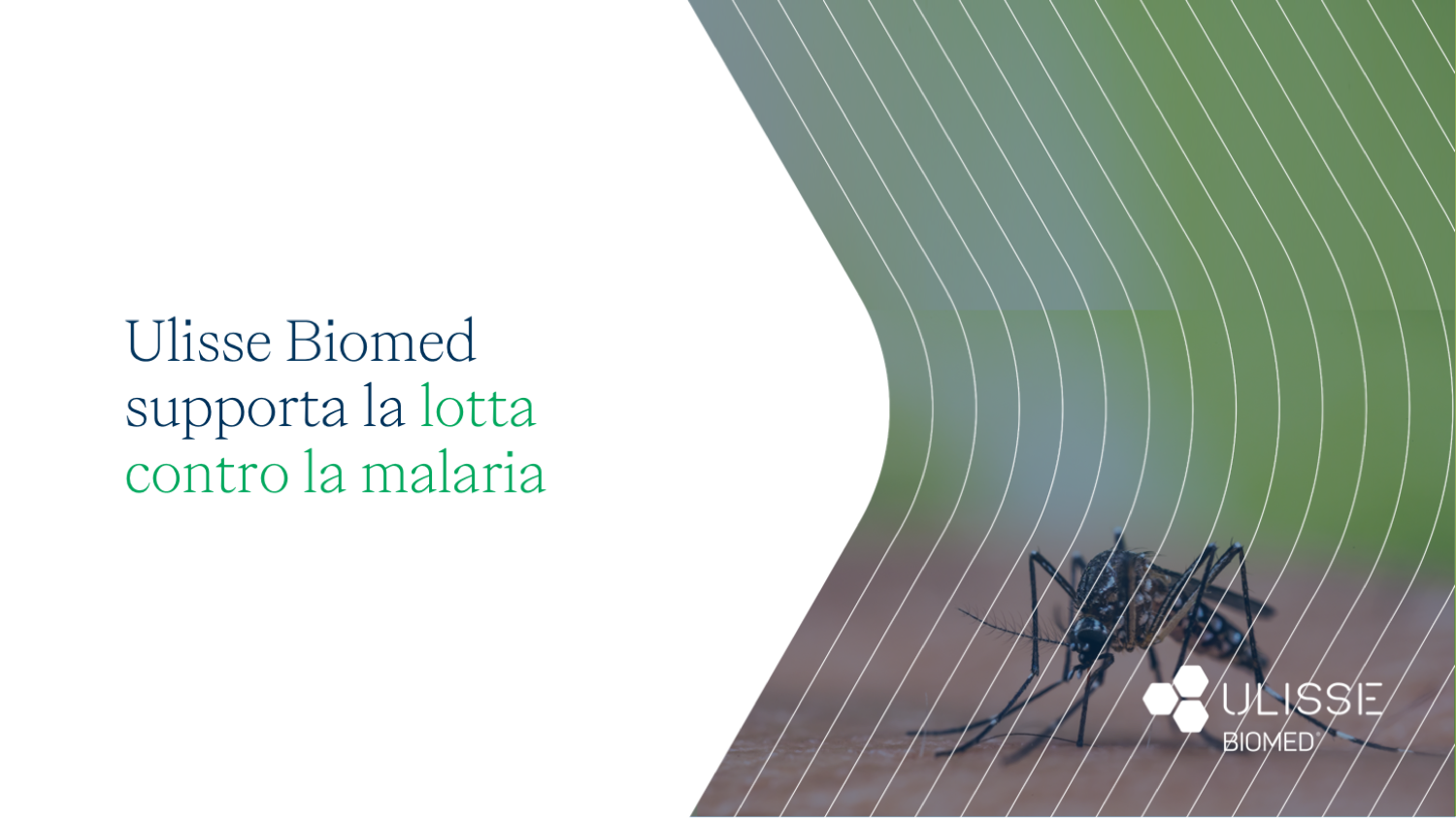 Ulisse Biomed supporta la lotta contro la malaria